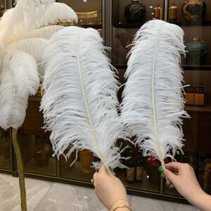 70–75cm Ostrich Feathers