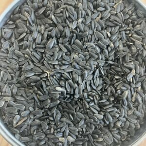 Black Sunflower