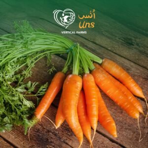 China Organic Fresh Carrots