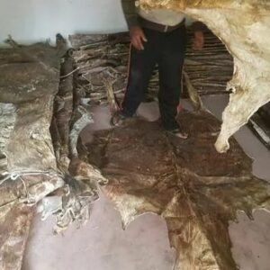 Dry-Wet-Salted-Donkey-Hides