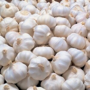 Fresh White Garlic