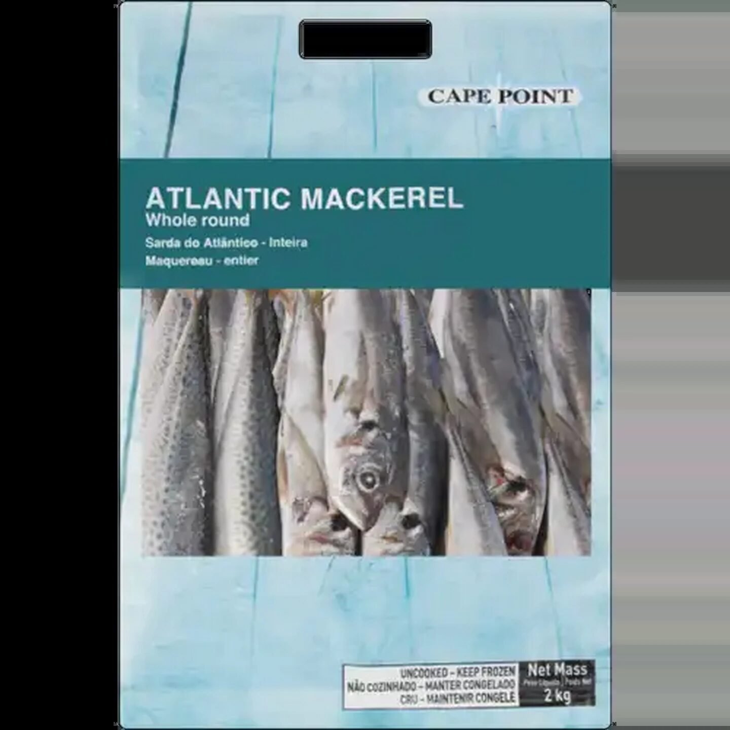 Frozen Mackerel Fish