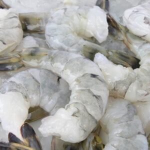 Frozen Vannamei White Shrimp