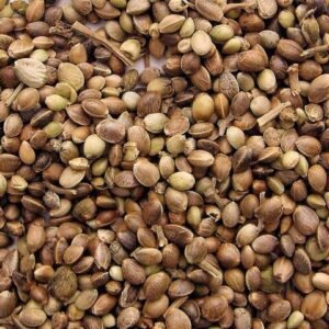 Hemp Seeds