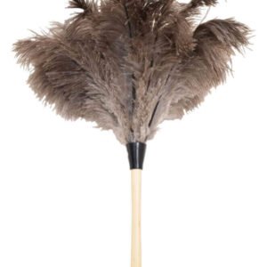 Ostrich Feather
