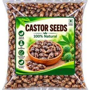 Quality Premium Castor Seeds