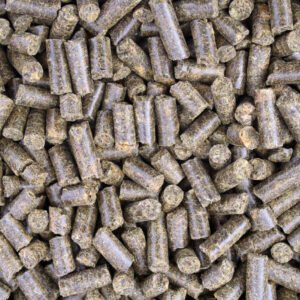 Sugar Beet Pulp Pellets
