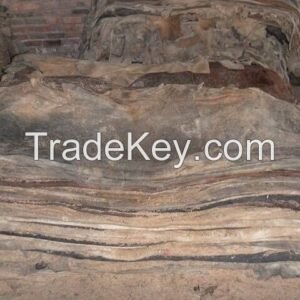 Wet Salted Camel Hides