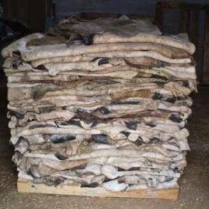 Wet Salted Cow Hides