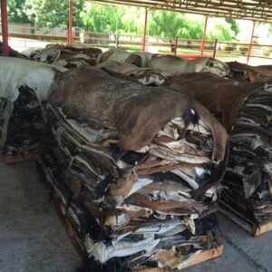 Wet Salted Donkey Hides