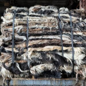 Wet Salted Goat Skins