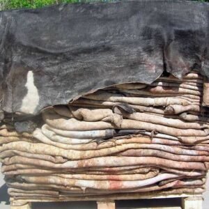 Wet Salted Horse Hides