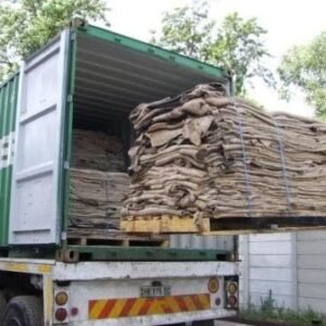 Wet Salted Sheep Hides