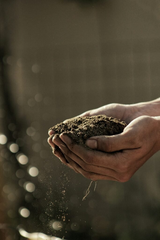 Farmer carrying soil in cupped hands