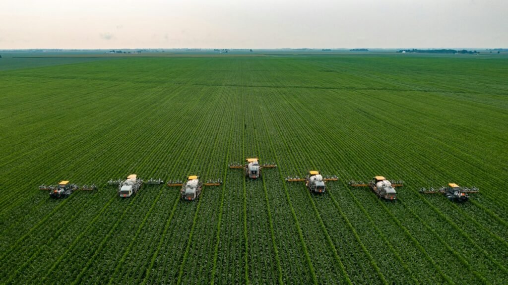 Agricultural sprayers in a green maize field
